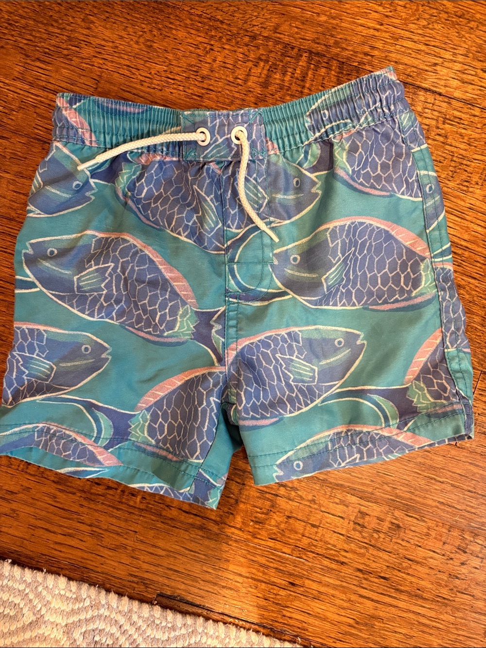 Boys tea collection swim trunks
